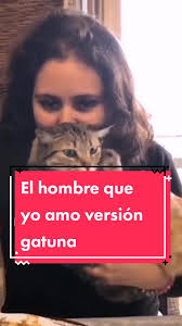 Dejame Estar Contigo Gatos