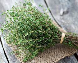 Older people don't sense thirst as much as they did when they were younger. How To Grow Thyme