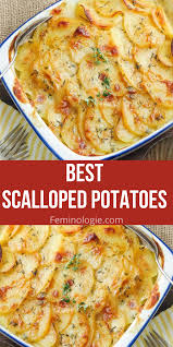 Best Scalloped Potatoes Recipe In 2020 Scalloped Potato Recipes Homemade Scalloped Potatoes Best Scalloped Potatoes