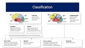 Epilepsy Classification And Types In Children Download To