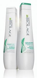 Matrix Biolage Scalpsync Anti Dandruff Shampoo Scalpsync By Biolage A Complete Range Of Haircare Products To Balance The Scalp And Leave Hair Clean And Healthy Looking Oily Hair Care Biolage Hair Care