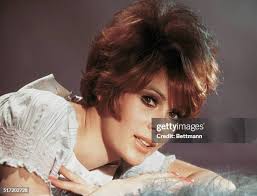 58,616 Jill Of All Trades Photos & High Res Pictures