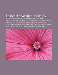 Image result for Mimulopsis solmsii