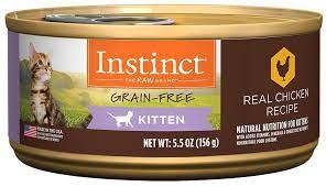 pin on cat food