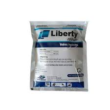 Liberty 100WP