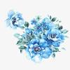 Blue and white flowers names. Https Encrypted Tbn0 Gstatic Com Images Q Tbn And9gcrre6rgoincmdn0r3ueykyqiy28hqha70e8os 9f9x0im Bxafd Usqp Cau