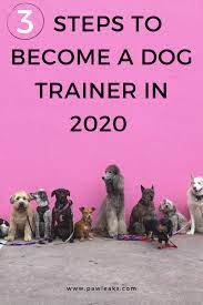 3 Steps To Become A Dog Trainer In 2021 Best Apartment Dogs Become A Dog Trainer Dog Trainer
