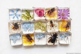 While pretty fresh flowers encased in resin look great for a couple of days. Preserving Flowers In Resin How To Cast Fresh Flowers In Resin