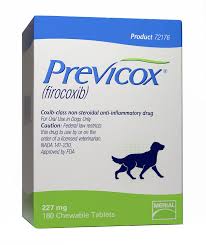 Is Previcox Safe For Dogs Should I Give Previcox To My