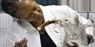 NE Meow Outfit Cat Show