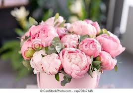 We did not find results for: Real Peony Flowers Near Me