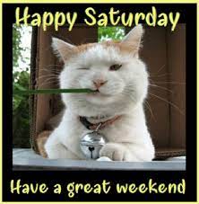 Funny Good Funny Good Morning Images Quotes Facebook