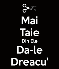 In puii mei maria arthur si goethe pleaca in america 18 03 2012. Mai Taie Din Ele Da Le Dracu Home Facebook