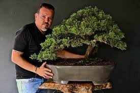 Los mejores obsequios para diferentes ocasiones. Egresado Autonomo Es Nombrado Embajador Del Arte Del Bonsai En Colombia Uao Portal