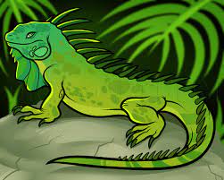 For the first few steps, don't press down too hard with your pencil. How To Draw An Iguana Step By Step Drawing Guide By Dawn Dragoart Com