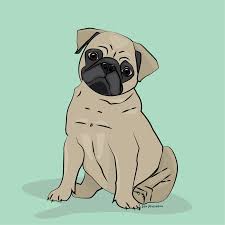 The pa10 and px10 used the same basic geometry, but used different materials and finish. Pug Ltd Ed Print Art Lovers Australia