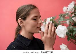 73 mil resultados de imágenes, fotos de stock e ilustraciones libres de  regalías para Young woman smelling a rose