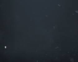 Ubisoft Forums