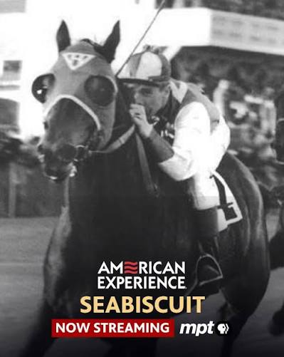 Seabiscuit was dung-colored and boxy, with stumpy legs that wouldn't  completely straighten, a straggly tail and an ungainly gait, but though he  didn't look the part, he was one of the most