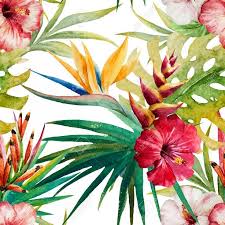 Tendance Tropicale Ete 2016 Deco Decoration Maison Jardin Terrasse Tropique Tropical Vacances Pr Tropical Art Tropical Flowers Tropical Prints Pattern