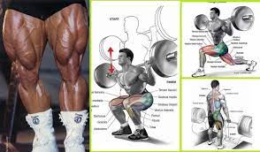 Gain Size And Strength For Muscular Legs In 4 Weeks Gymguider Com Leg Workouts For Men Chest Workout For Men Barbell Workout
