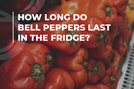 The primary reason why chili becomes unsafe for consumption is the growth of microorganisms. How To Store Peppers Detailed Guide Beezzly