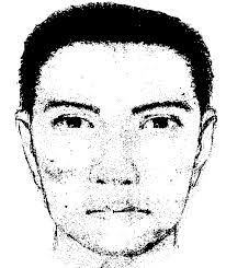 SUPLEMENTO DE CAPTURAS