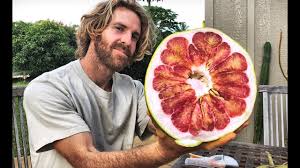 But there are so many other, more exotic fruits that grow in the islands. Garden Tour Tropical Fruit Tree Food Forest What We Ate Today From Our Yard Part 1 Youtube