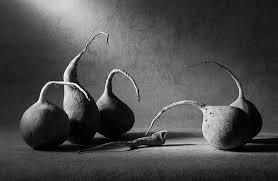 Black And White Still Life Photography Black And White Photography Incredible Examples Black And White Photography White Photography Black And White