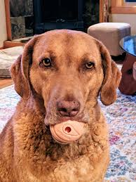 With love from Betty's Bay ❤