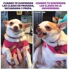 Pin On Memes De Medicina