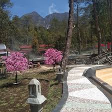 Indonesia memang surganya tempat wisata, ada banyak sekali jenis wisata yang bisa kita pilih, seperti jogja bay bunga sakura di jepang. Sakura Hills Tiket Masuk Info Wisata Mei 2021 Promo
