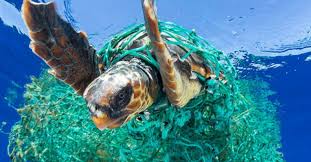 The World S Plastic Problem Is Bigger Than The Ocean Marine Life Plastic Problems Plastic Pollution