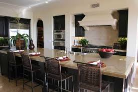 60 tropical kitchen ideas (photos)