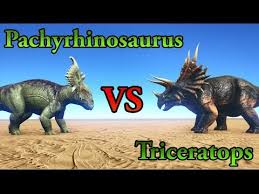Ark How To Tame A Pachyrhinosaurus 2020 - All You Need To Know About Taming  A Pachyrhinosaurus - Youtube