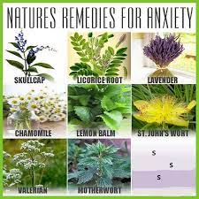 Pin On Anxiety