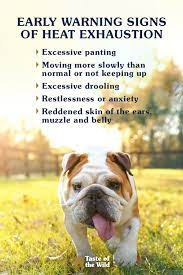 Shop our wide selection of pet supplies today! Early Warning Signs Of Heat Exhaustion In Pets Dogs Pet Safety Pet Hacks