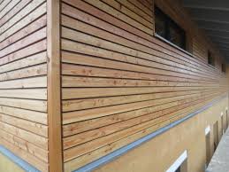 Easy Rhombus Blackline Habm Geschutztes Holzfassadenprofil Aus Larche Holzfassade Gartenhaus Mit Schleppdach Fassade