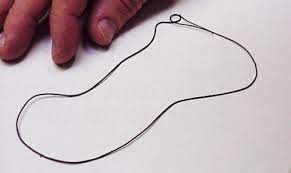 Horsehair Worms Gordius Spp