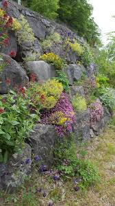 Mauerbepflanzung Sloped Garden Rock Garden Backyard Garden