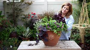 You will love the purple flowers on this choice. How To Create A Shade Container Youtube