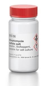Image result for Streptomycin
