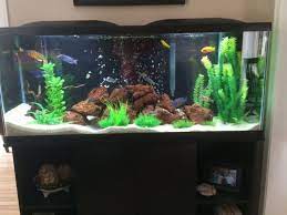 It does not only absorb particles but also eliminates odors, making your tank absolutely beautiful to look at. Tips For Cleaning And Maintaining Your Tank Filter