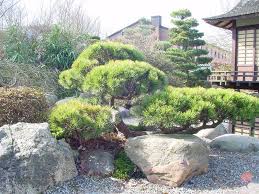 Kleinen Japanischen Garten Teich Google Search Kleiner Japanischer Garten Japanischer Garten Asia Garten