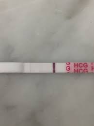 Input Easy Home Tests False Babycenter