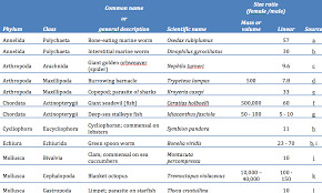 Phylum Comparison Chart