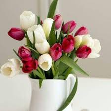 صور ورد 2021 خلفيات ورود زهور جميلة جدا للاهداء Tulips Arrangement Tulips In Vase Amazing Flowers