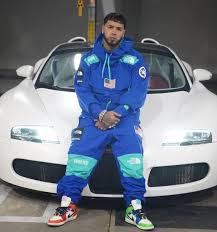 Soy dueño de lo mío, un billón flow dr. Pin By Los Dioses Anuel Aa Ozuna Brrr On Anuel Aa Y Karol G In 2021 Cat Aesthetic Style Sporty