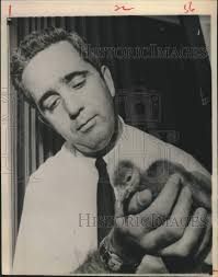 1968 Press Photo Research center director Glenn Smart holds whooping crane  chick