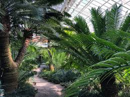 Der botanischer garten in berlin ist der größte seiner art in deutschland. Botanische Garten Mit Gewachshausern In Deutschland Eine Ubersicht